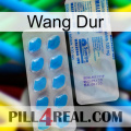 Hard Wang new15